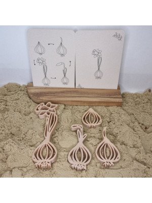Grennn Formine per sabbia Ciclo della narciso-grennn836-20