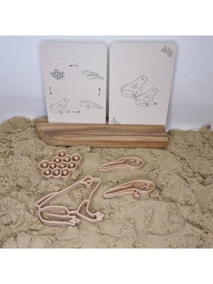 Grennn Formine per sabbia Ciclo della rana-grennn833-20