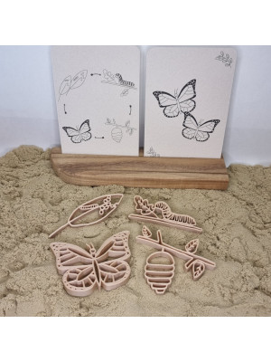 Grennn Formine per sabbia Ciclo della farfalla-grennn834-20