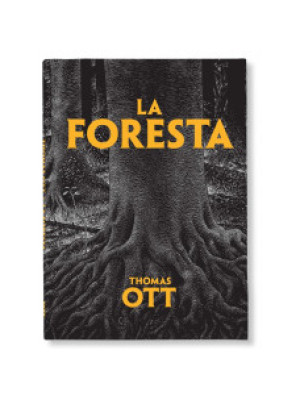 Logos Edizioni La Foresta Thomas Ott-9788857611273-20