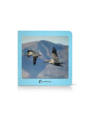 NEW!!! Nowordbooks Uccelli Aves (disponibile da 26 Aprile)-9788412534498-20