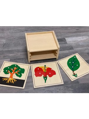 Materiale Montessori Contenitore con incastri di botanica (disponibile tra 10gg lavorativi)-MON-BOT-19-20
