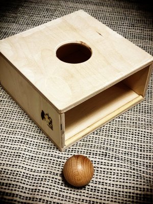 Materiale Montessori "La prima scatola per imbucare"-PRIMAIMB-20