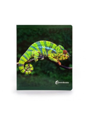 NEW!!! Nowordbooks Animales de la Selva Animali della giungla grande-9788412683615-20