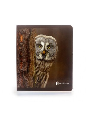 NEW!!! Nowordbooks Animales del bosque grande Animali del bosco grande-978-84-123445-3-0-20