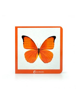 NEW!!! Nowordbooks Naranja Arancione-978-84-125344-4-3-20