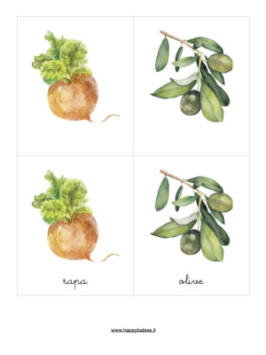 PDF da stampare Nomenclature Classificate Montessori Vegetali-NOM-VEG-PDF-20
