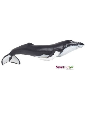 Safari Ltd Humpback Whale Toy 202029-202029-20