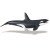 Safari Ltd Killer Whale (Orca) Toy 275129-Safari LTD-275129-21