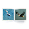 NEW!!! Nowordbooks Uccelli Aves-9788412534498-01