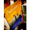 Bohem Press-Rinoceronte Lucia Scuderi-9788832137019-00