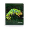 NEW!!! Nowordbooks Animales de la Selva Animali della giungla grande-9788412683615-011
