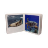 Nowordbooks Los Animales Marinos Gli animali marini-978-84-942956-0-7-01