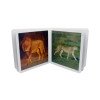 Nowordbooks Los Animales Salvajes Gli animali della savana-978-84-942956-1-4-01