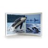 NEW!!! Nowordbooks Animales marinos grande Animali marini grande-978-84-123445-6-1-08