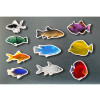 Nowordbooks Pezzi magnetici pesci colorati-NWBM09-01
