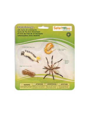 Safari LTD La zanzara Set ciclo della vita-662616-10
