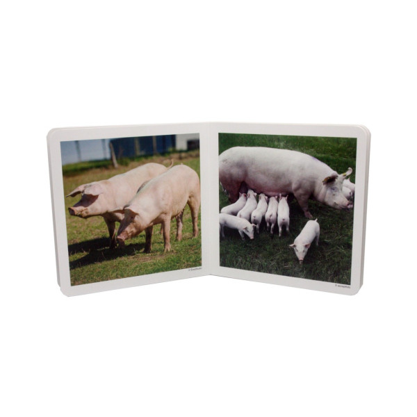 Nowordbooks Animales en Familia I Animali in famiglia I (disponibile da 26 Aprile)-978-84-948103-5-0-01