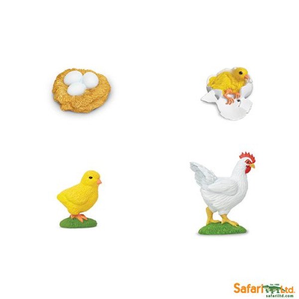 Safari LTD La gallina Set ciclo della vita (nomeclature opzionali)-Safari LTD-662816-01