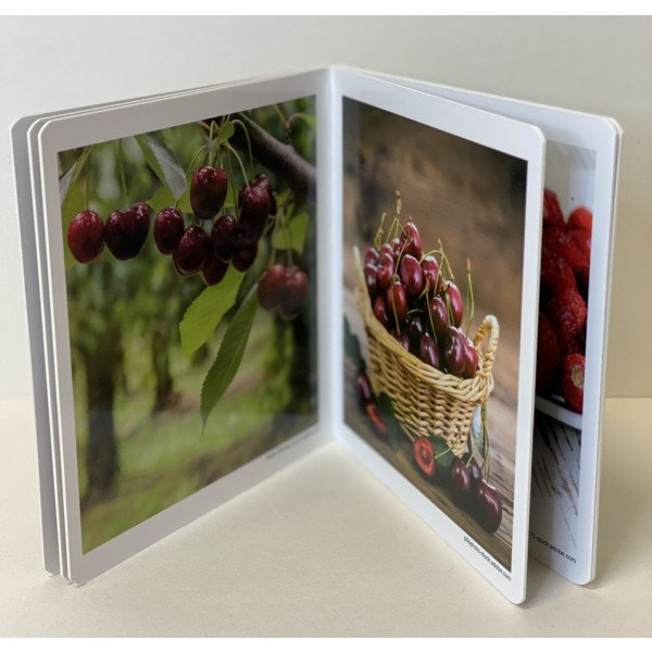 Nowordbooks Frutas del Bosque Frutti di bosco (disponibile da 26 Aprile)-978-84-948103-4-3-01
