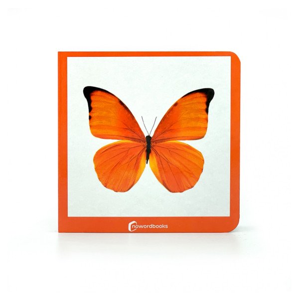 NEW!!! Nowordbooks Naranja Arancione-978-84-125344-4-3-01