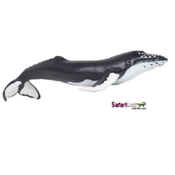Safari Ltd Humpback Whale Toy 202029-Safari LTD-202029-01