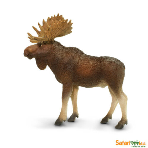 Safari Ltd Bull Moose Toy 181029-Safari LTD-181029-01